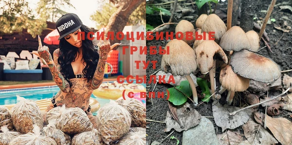 герыч Медногорск