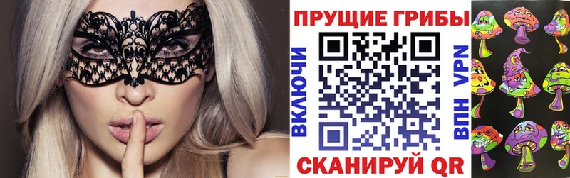 Псилоцибиновые грибы Magic Shrooms  продажа наркотиков  Щёкино 