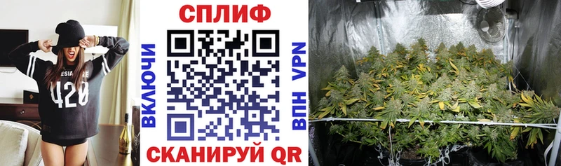 Каннабис White Widow  Щёкино 